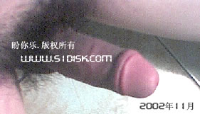 勃起阴茎