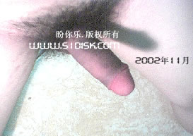 勃起阴茎