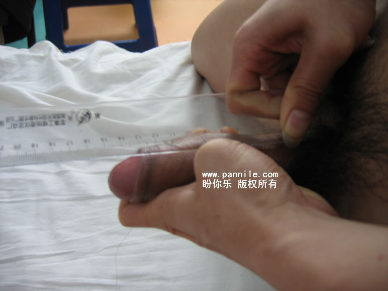 阴茎不大