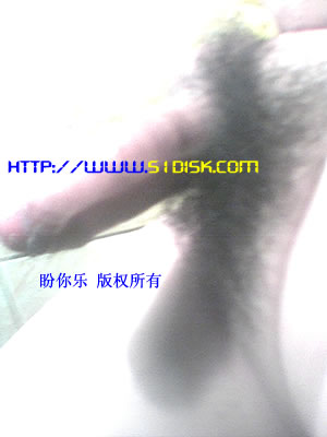 勃起阴茎